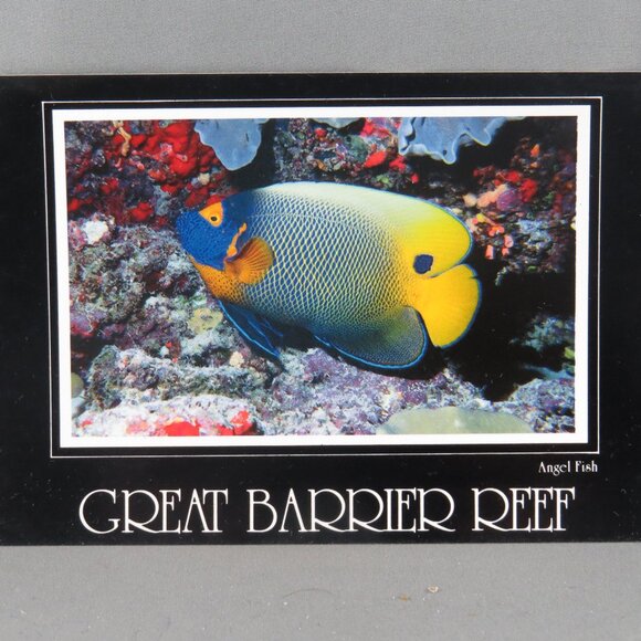 Vintage Postcard - Yellow Face Angelfish Great Barrier Reef - Peer Productions - Picture 1 of 4